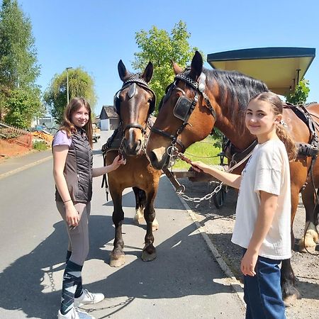 Glamping-Paradies Am Dengler Hof Hohenberg an der Eger ภายนอก รูปภาพ