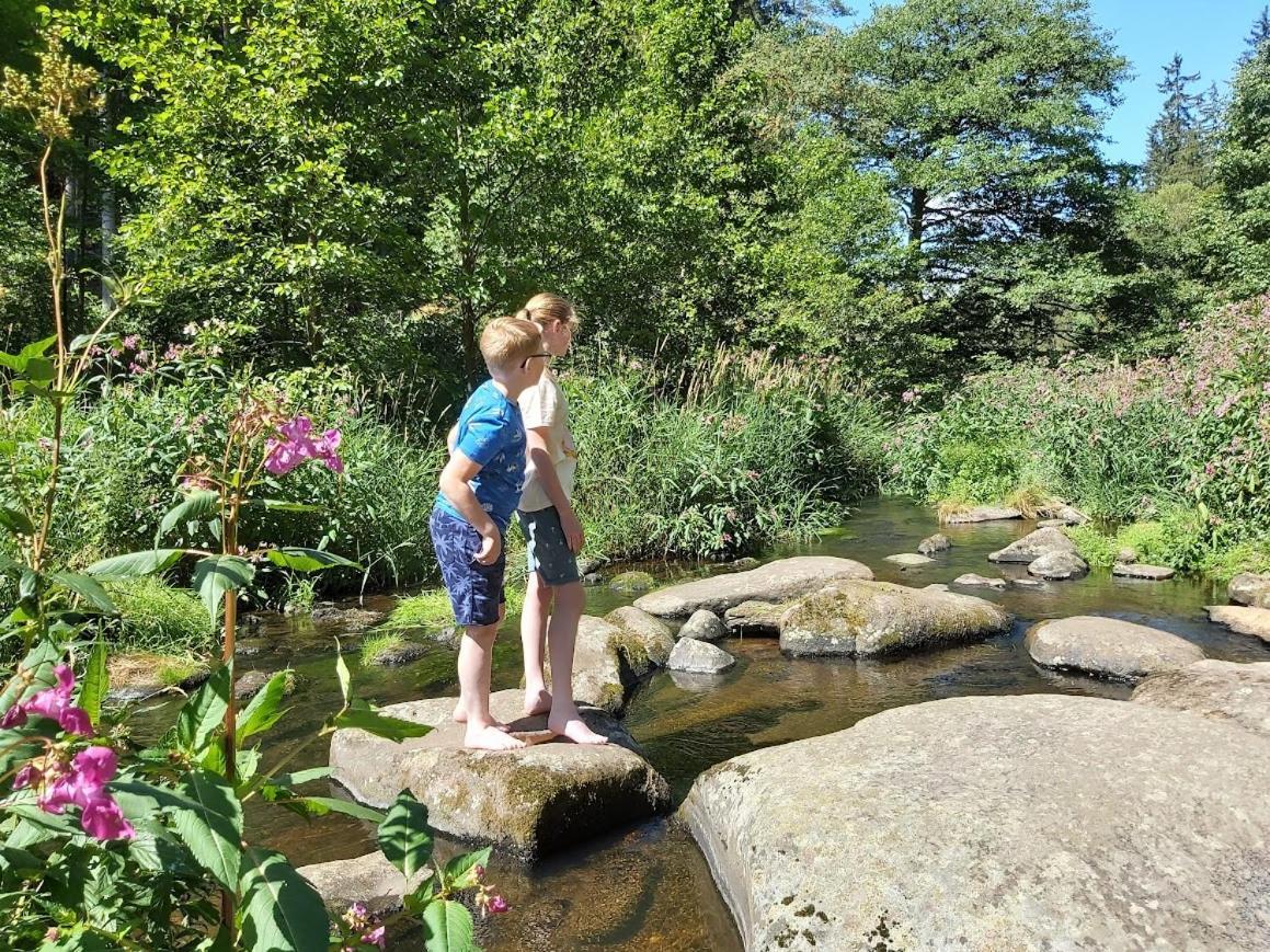 Glamping-Paradies Am Dengler Hof Hohenberg an der Eger ภายนอก รูปภาพ